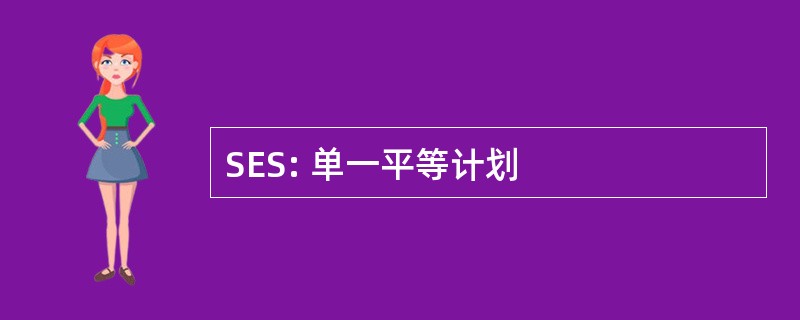 SES: 单一平等计划