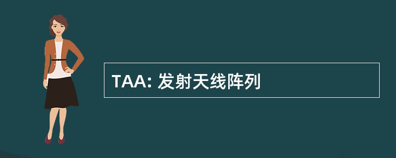 TAA: 发射天线阵列