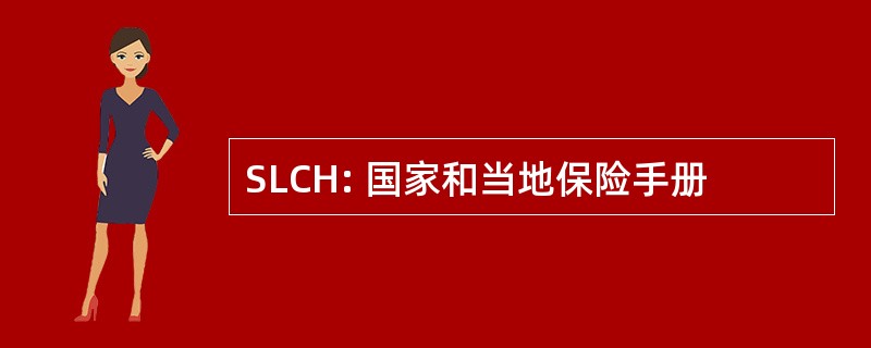 SLCH: 国家和当地保险手册