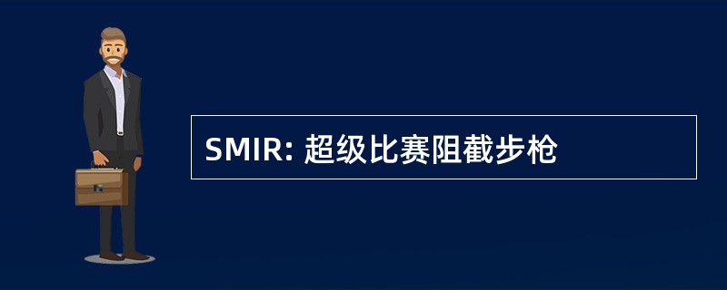 SMIR: 超级比赛阻截步枪