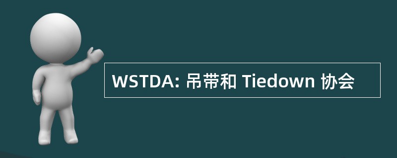 WSTDA: 吊带和 Tiedown 协会