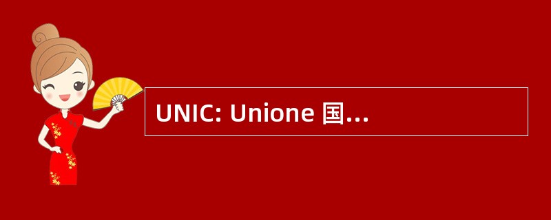 UNIC: Unione 国家工业 Conciaria