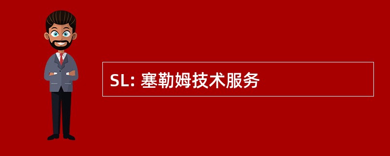 SL: 塞勒姆技术服务