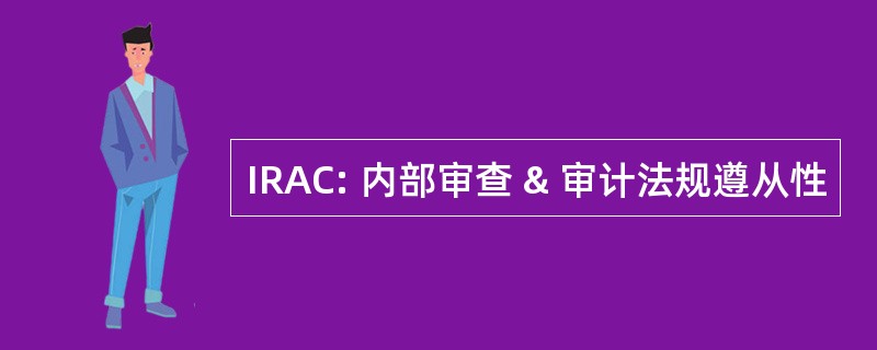 IRAC: 内部审查 & 审计法规遵从性