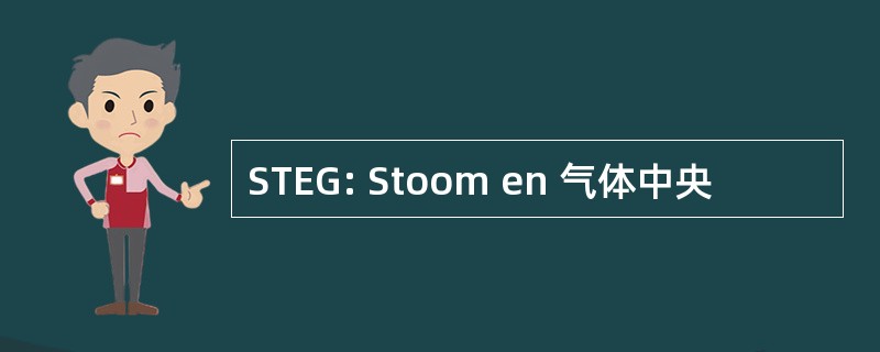 STEG: Stoom en 气体中央