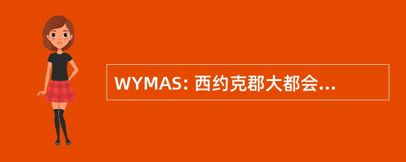 WYMAS: 西约克郡大都会救护车服务