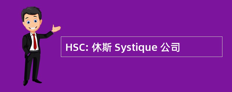 HSC: 休斯 Systique 公司