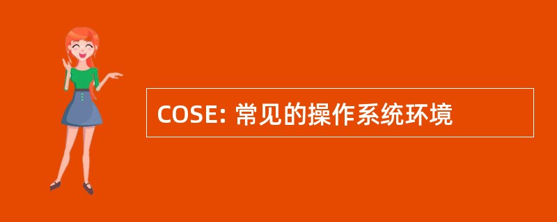 COSE: 常见的操作系统环境