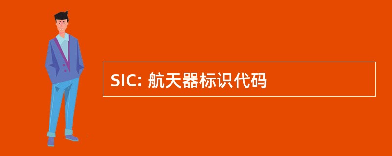 SIC: 航天器标识代码