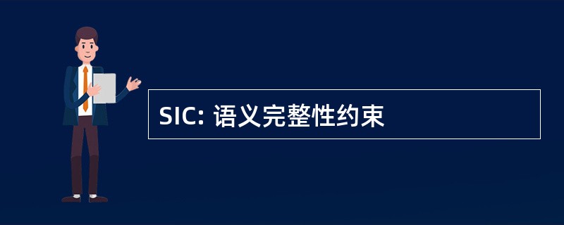 SIC: 语义完整性约束