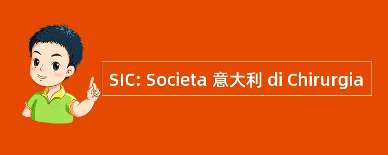 SIC: Societa 意大利 di Chirurgia