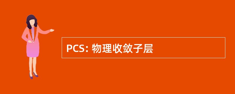 PCS: 物理收敛子层