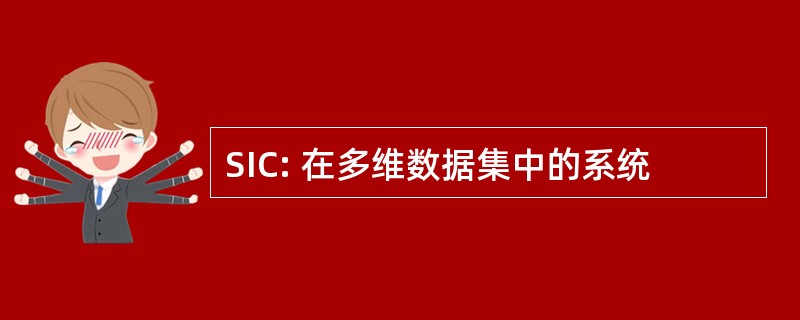 SIC: 在多维数据集中的系统