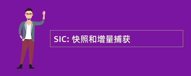 SIC: 快照和增量捕获