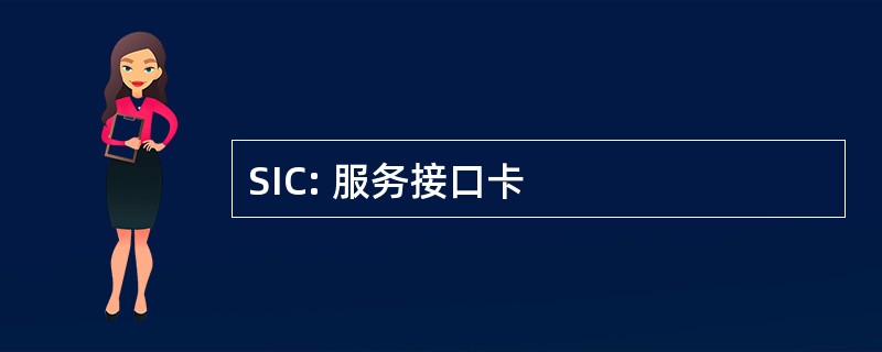 SIC: 服务接口卡