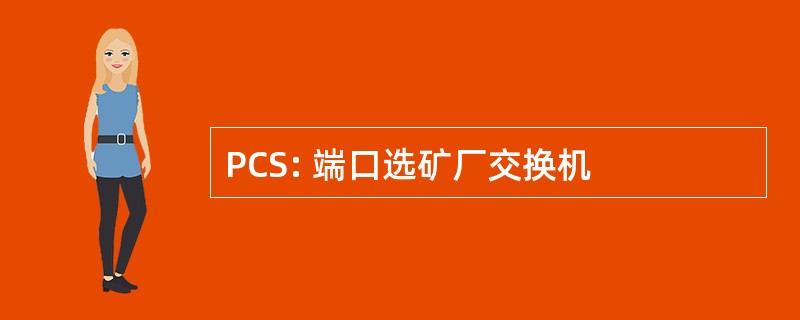 PCS: 端口选矿厂交换机