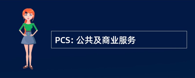 PCS: 公共及商业服务