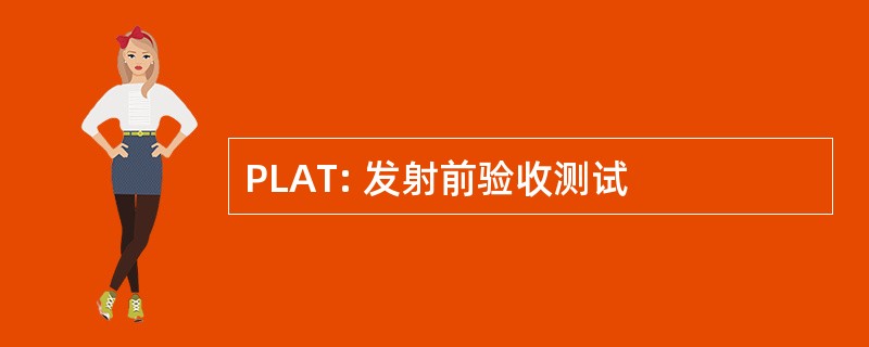 PLAT: 发射前验收测试