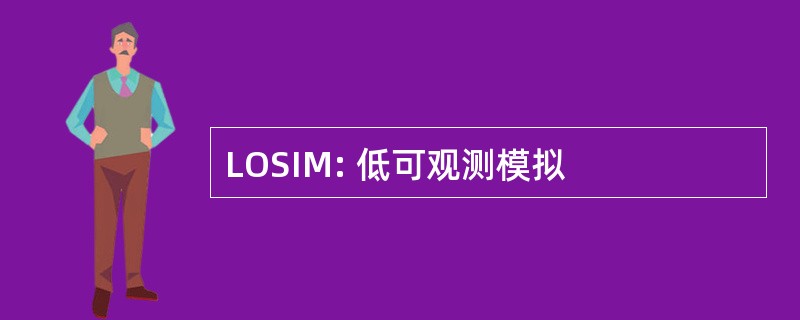 LOSIM: 低可观测模拟