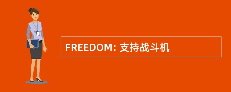 FREEDOM: 支持战斗机