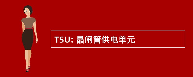 TSU: 晶闸管供电单元