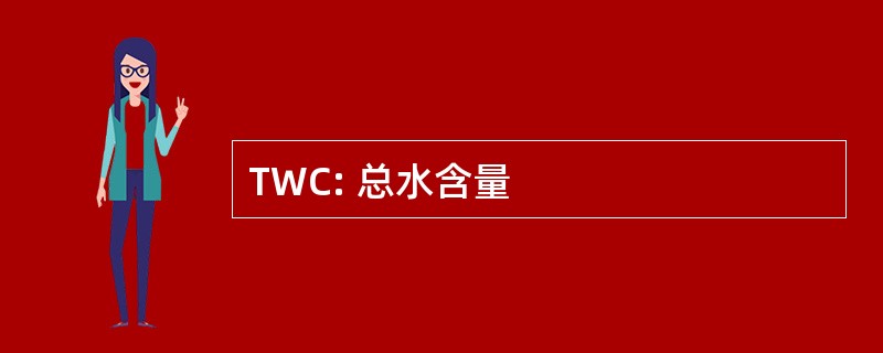 TWC: 总水含量