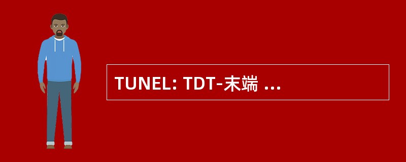 TUNEL: TDT-末端 （2&#039;-脱氧尿苷 5&#039;-三磷酸盐） 介导的缺口末端标记 （生物化学）