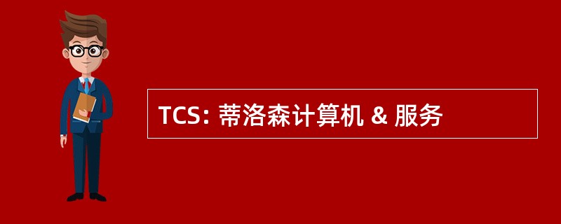 TCS: 蒂洛森计算机 & 服务