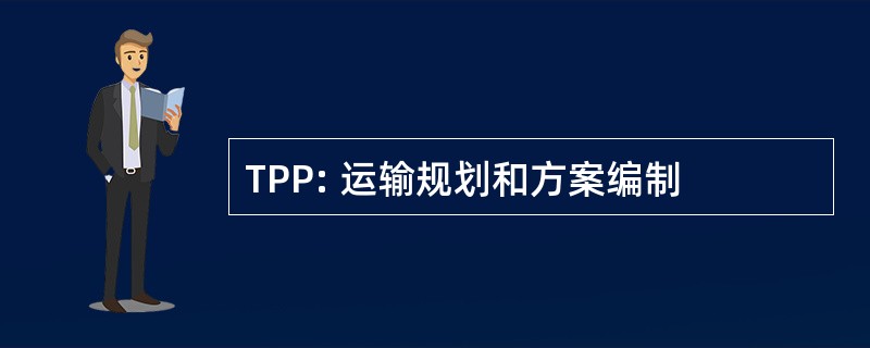 TPP: 运输规划和方案编制