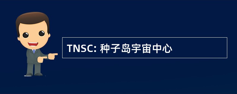 TNSC: 种子岛宇宙中心