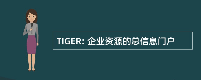 TIGER: 企业资源的总信息门户