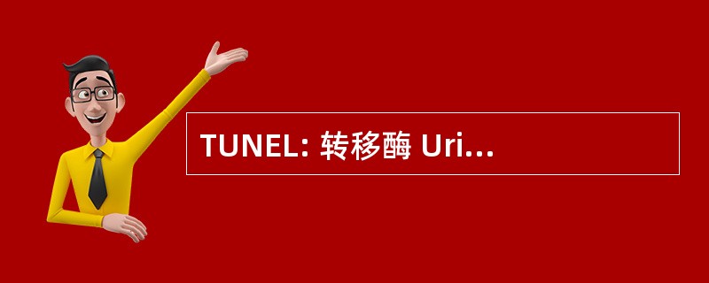 TUNEL: 转移酶 Uridyl 尼克末端标记