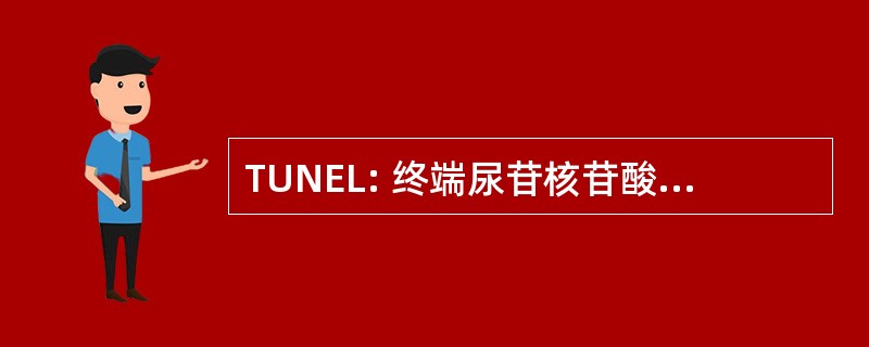 TUNEL: 终端尿苷核苷酸末端标记法