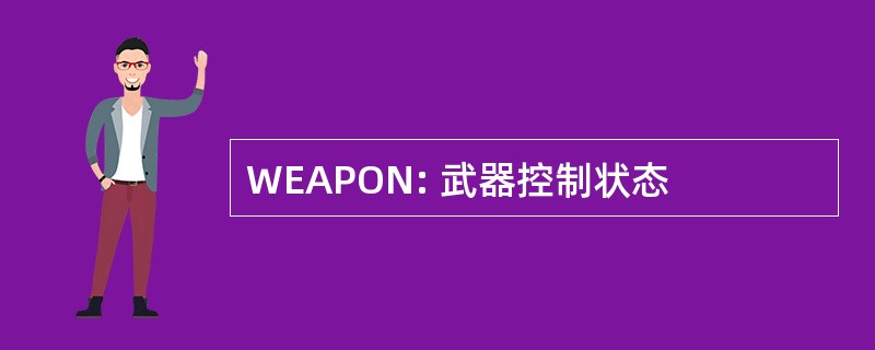 WEAPON: 武器控制状态