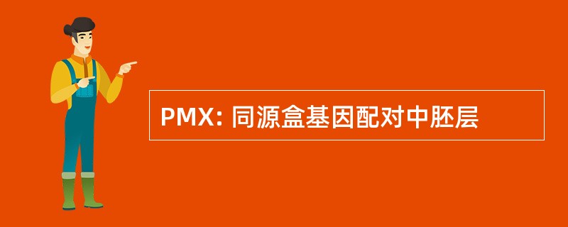 PMX: 同源盒基因配对中胚层