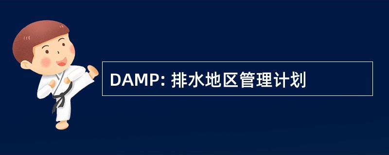 DAMP: 排水地区管理计划