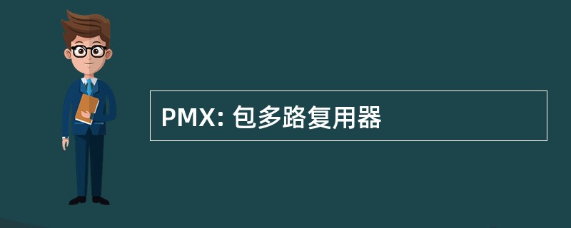 PMX: 包多路复用器