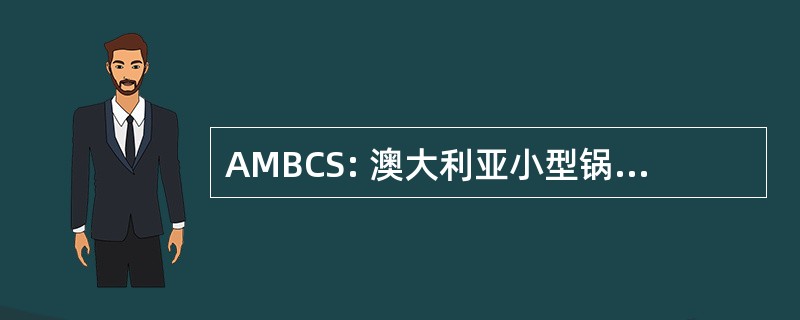 AMBCS: 澳大利亚小型锅炉安全委员会