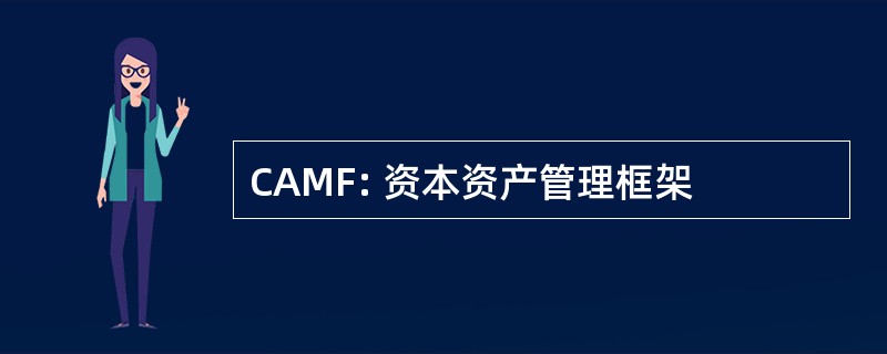 CAMF: 资本资产管理框架