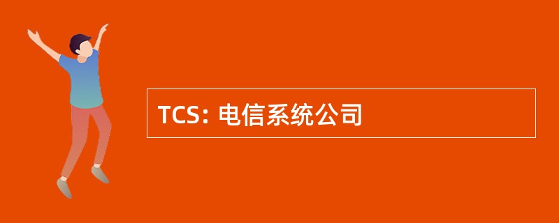 TCS: 电信系统公司