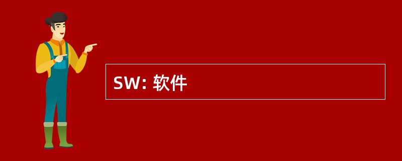 SW: 软件