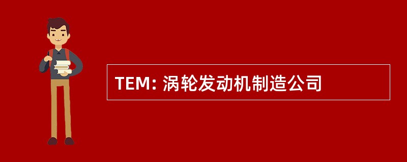 TEM: 涡轮发动机制造公司