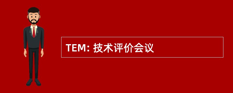 TEM: 技术评价会议