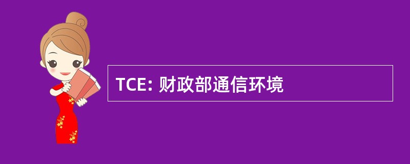 TCE: 财政部通信环境