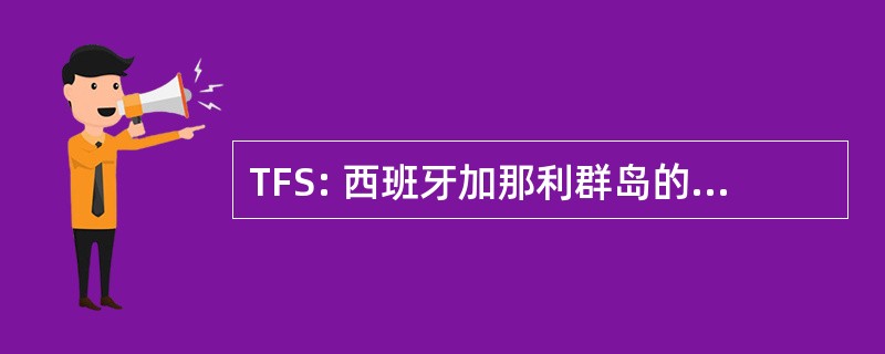 TFS: 西班牙加那利群岛的特内里费岛-雷纳索非亚