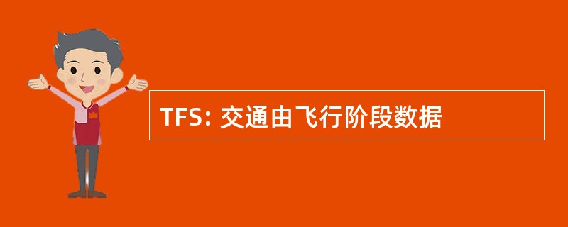 TFS: 交通由飞行阶段数据