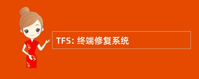 TFS: 终端修复系统