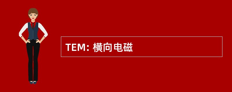 TEM: 横向电磁