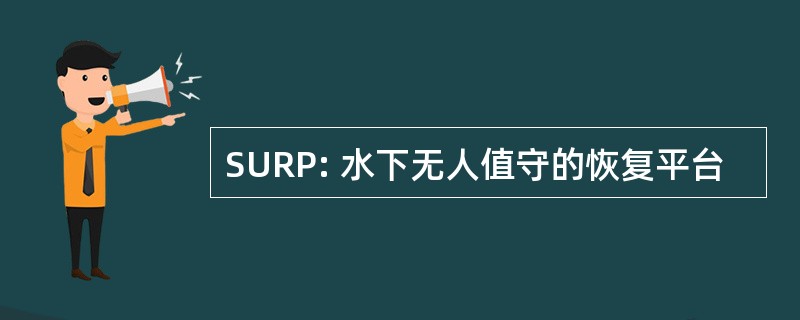 SURP: 水下无人值守的恢复平台