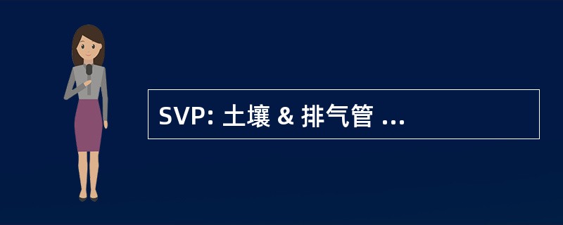 SVP: 土壤 & 排气管 （英国的建筑行业）